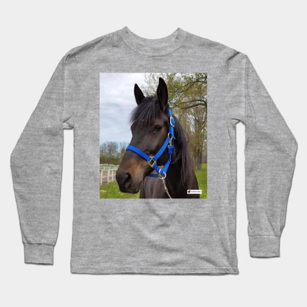 Tito Long Sleeve T-Shirt by SunshineHorses